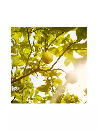 MAISON MARGIELA | Replica Under the Lemon Trees Eau de Toilette 100ml | 